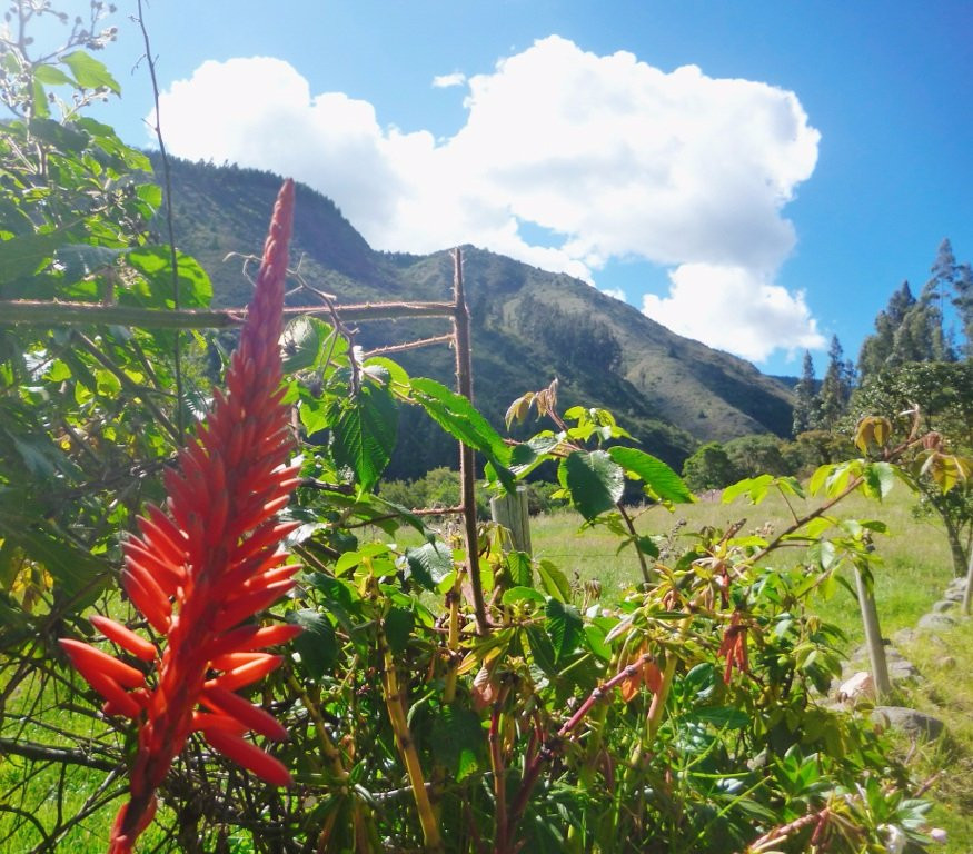 Duitama旅游攻略图片