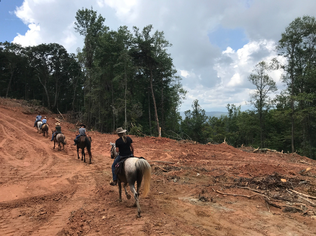 Love Valley旅游攻略图片