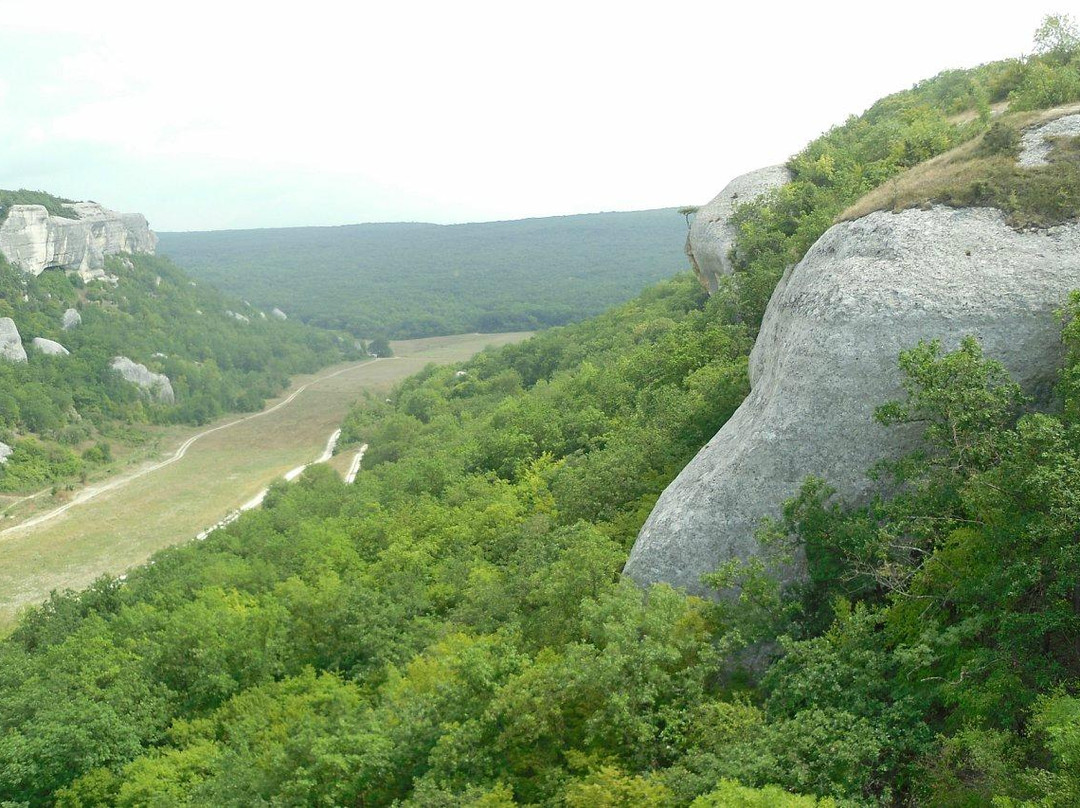 Kholmovka旅游攻略图片