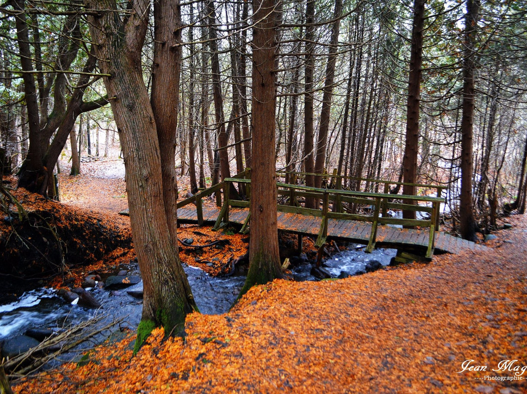 Neuville旅游攻略图片
