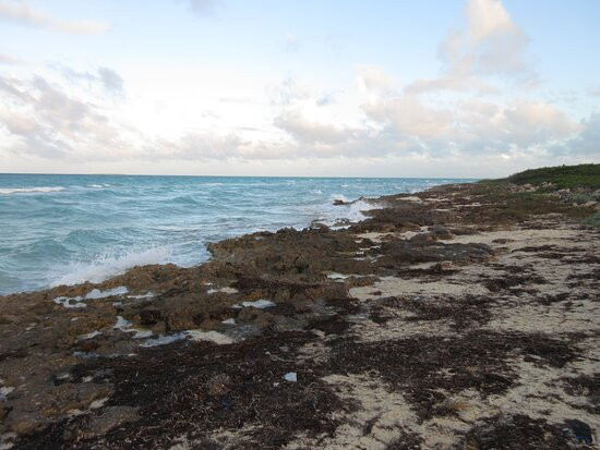 Grand Muthu Cayo Guillermo主图