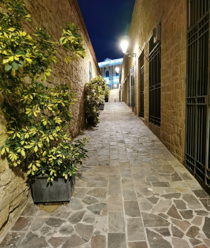 Callejon del Moro景点图片