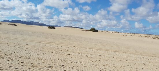 Playa Larga