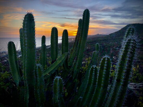 Phocea Mexico-拉巴斯必去景点