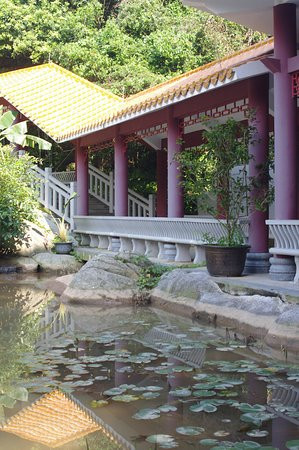 帽峰山森林公园-广州市必去景点