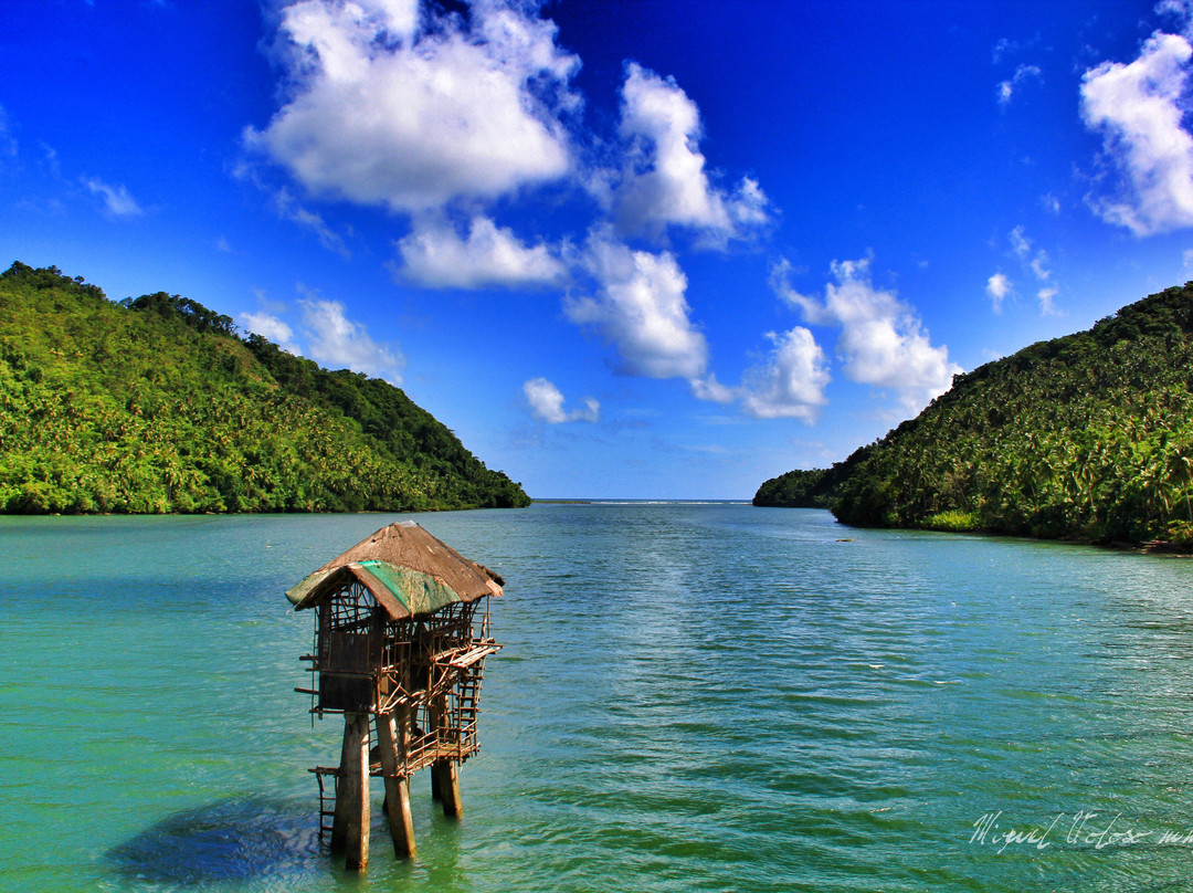 Suribao River景点图片