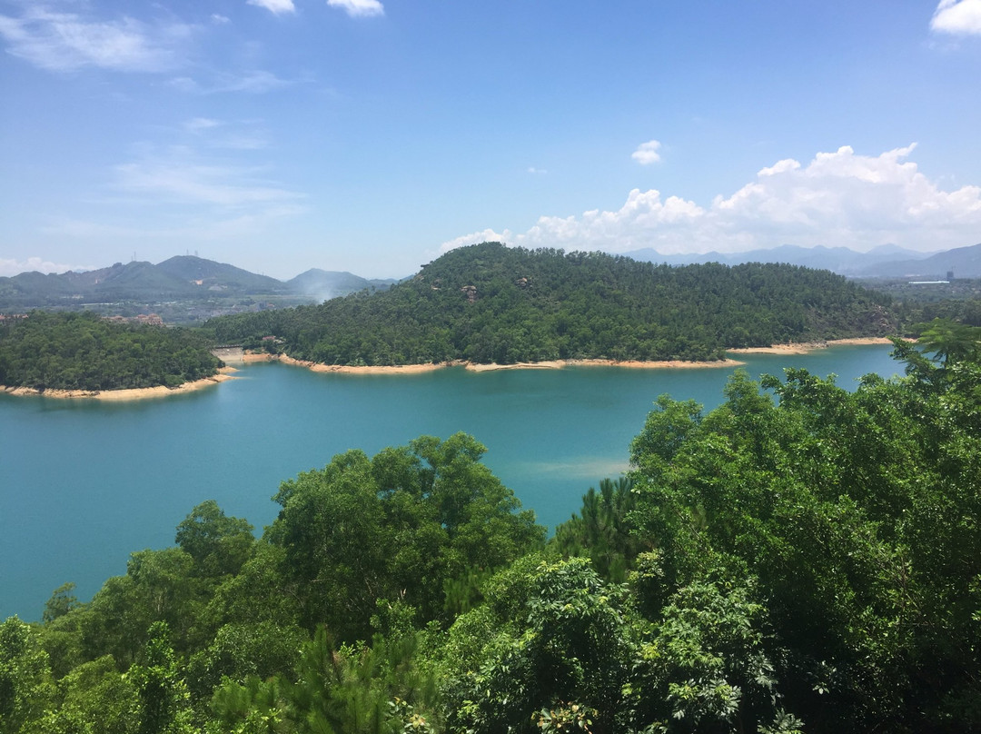 金台寺