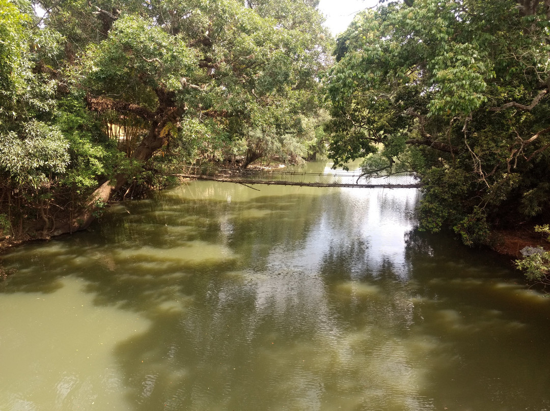 Nisargadhama Reserve景点图片