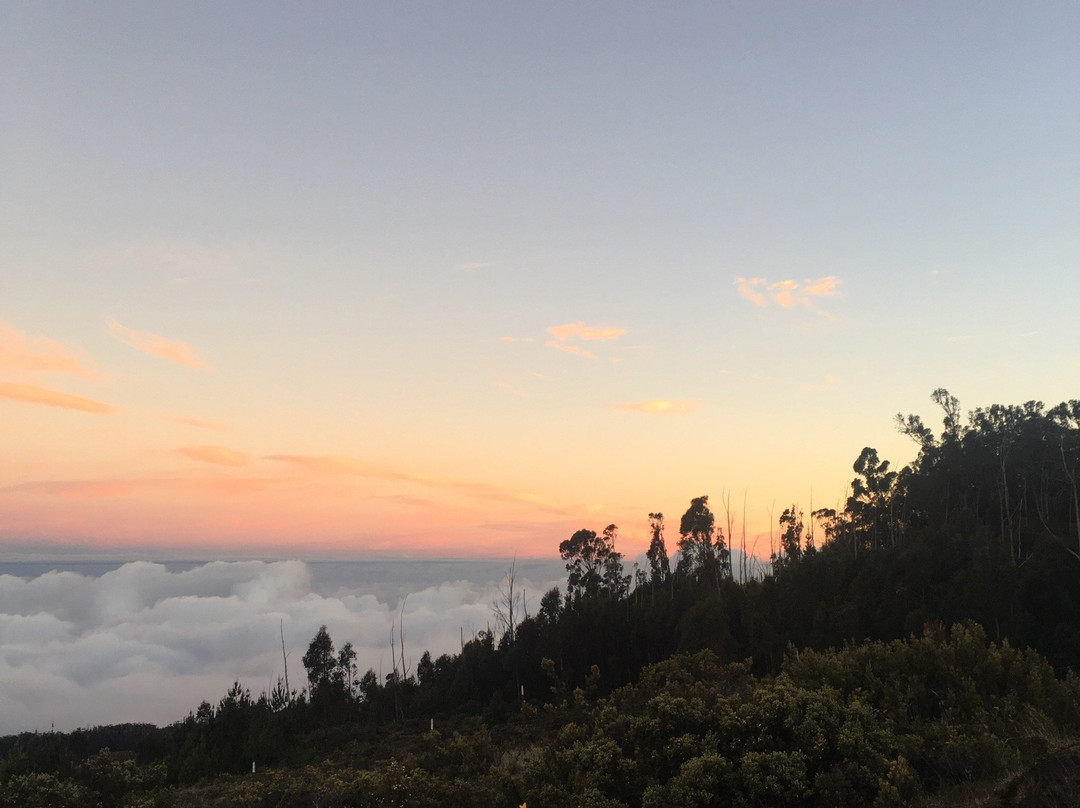 Cruiser Phil's-卡胡卢伊必去景点