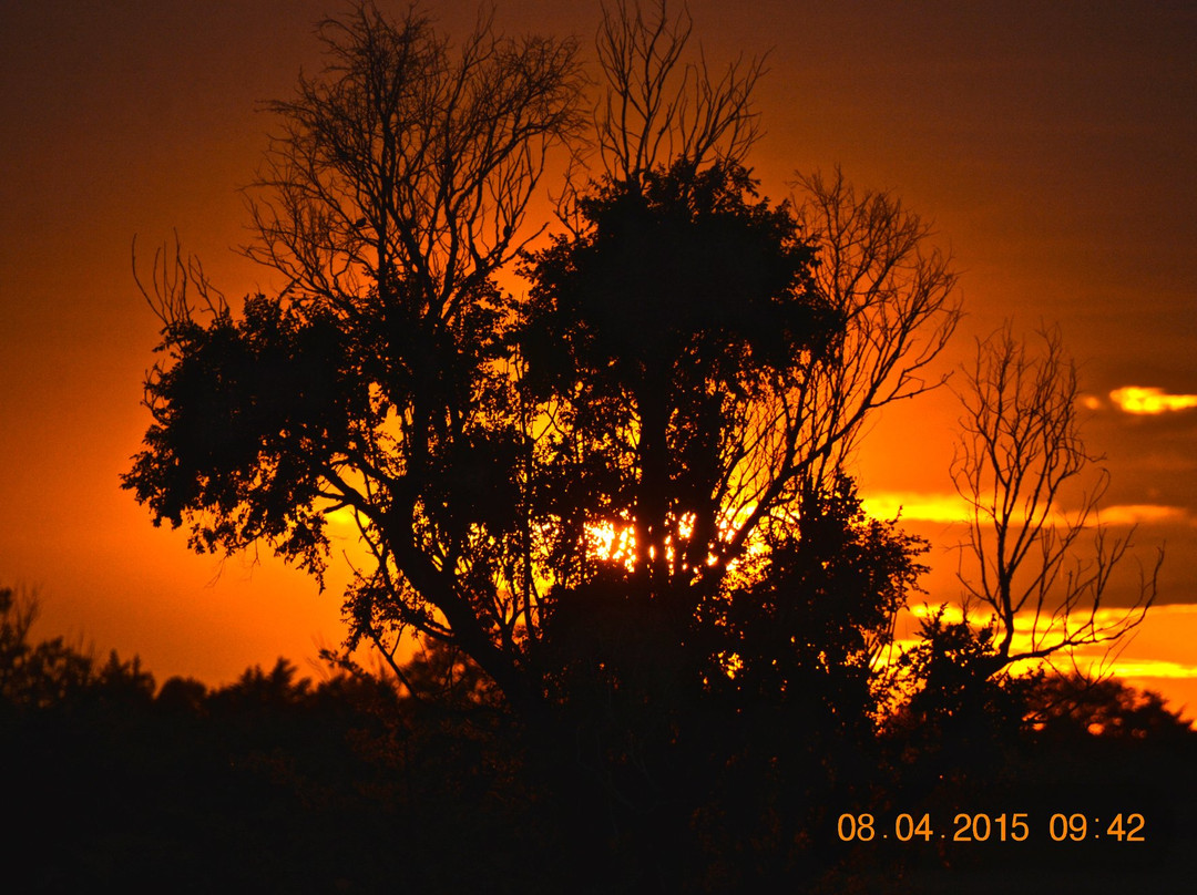 Norton旅游攻略图片