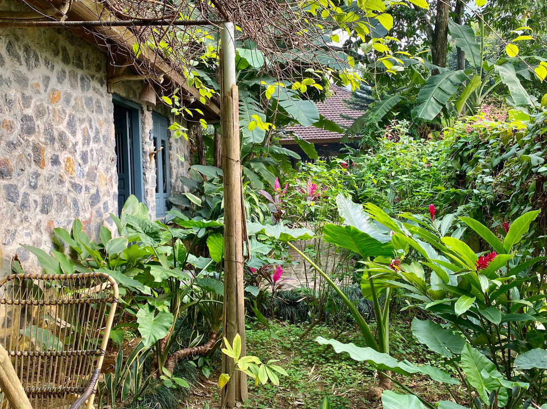 Tam Coc Garden主图