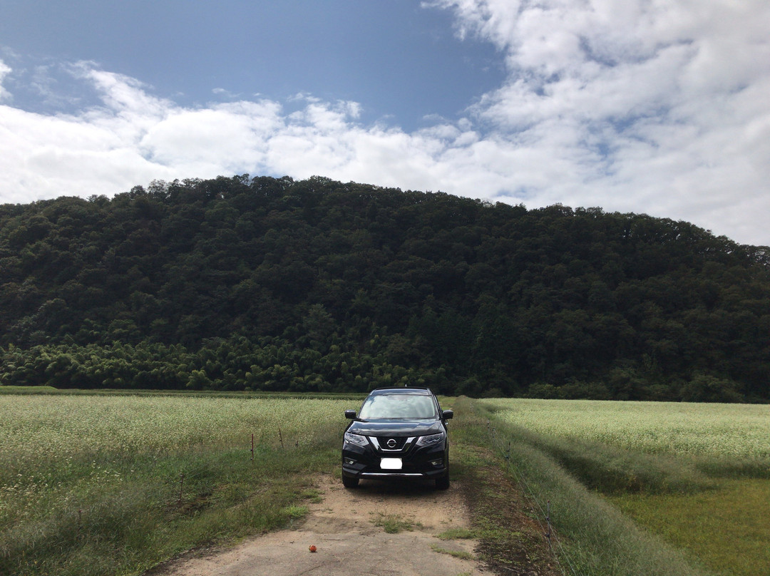 Soba Field