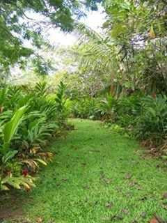 Hana Maui Botanical Gardens景点图片