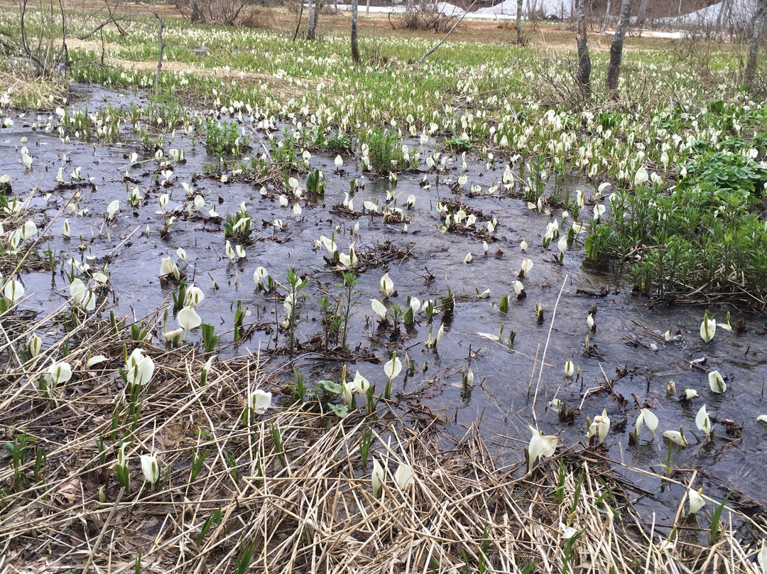 Okususobana Natural Garden-长野县必去景点