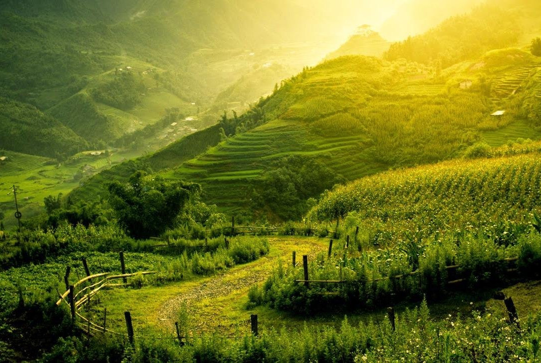 Jeep Adventure Viet Nam