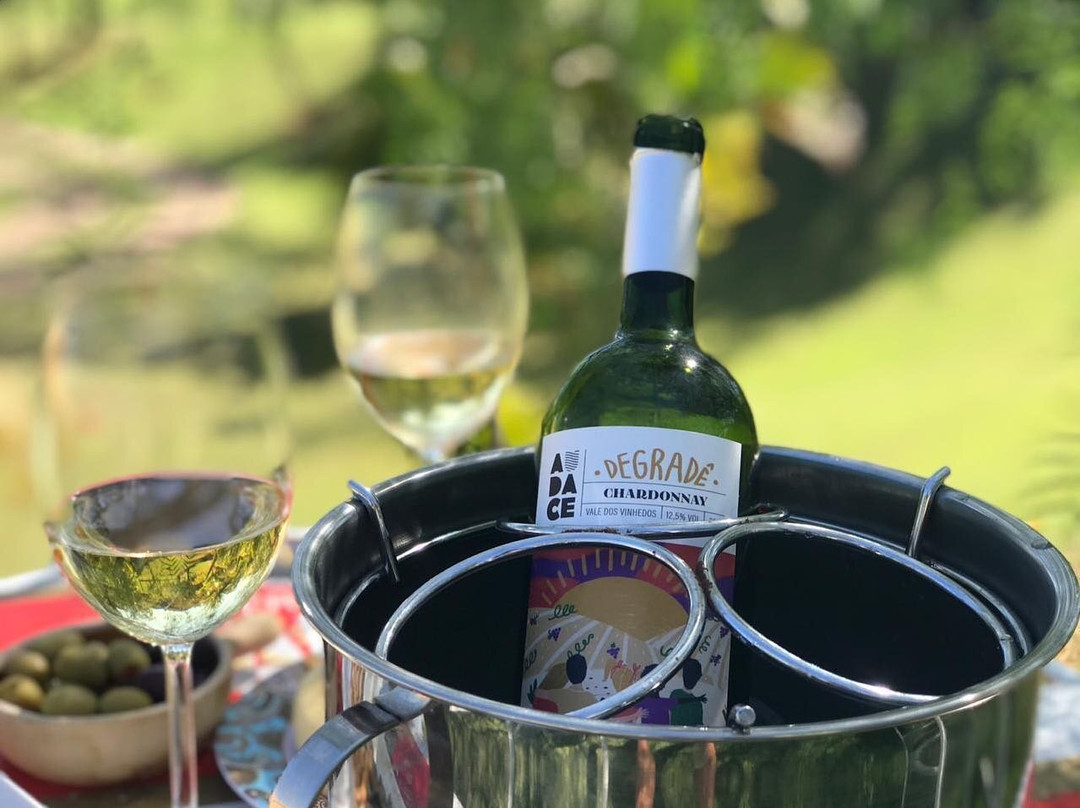 Vinícola Audace Wine-本图贡萨尔维斯必去景点