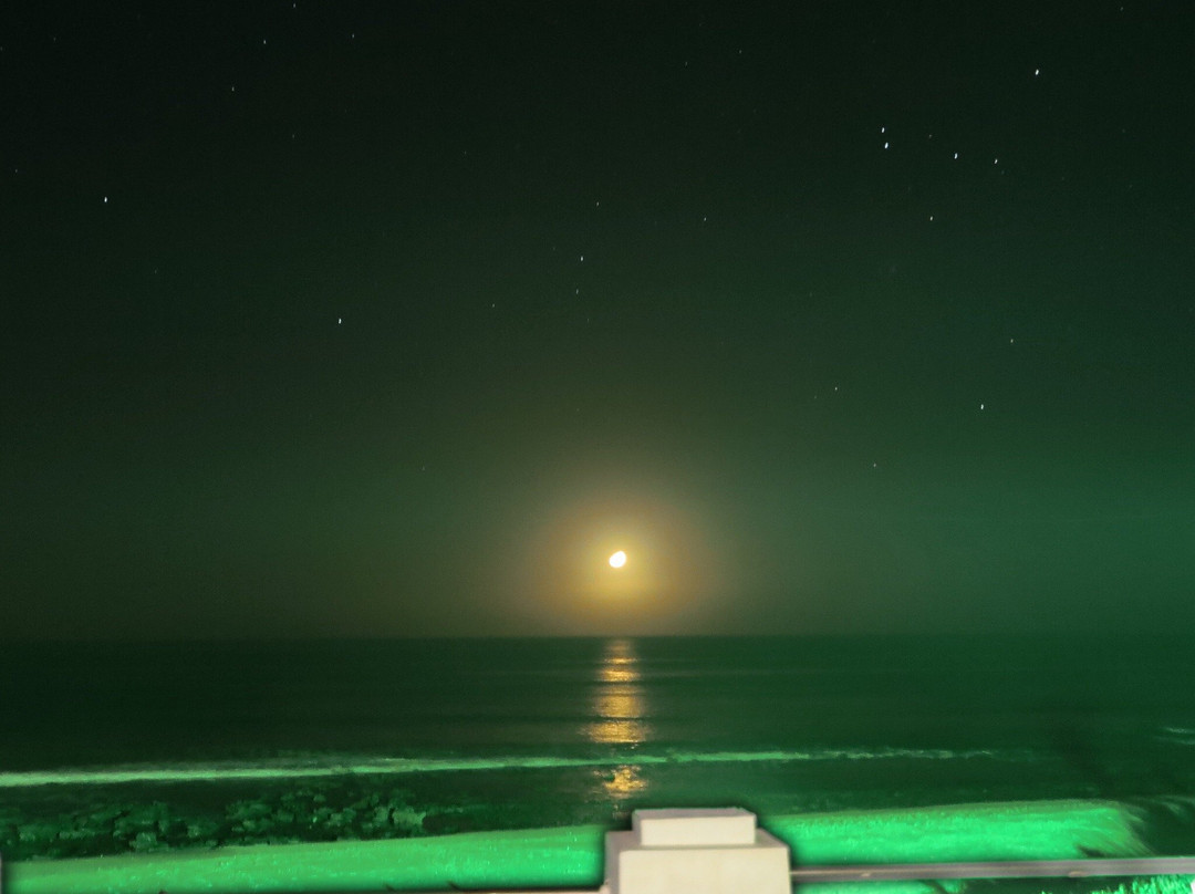 Seashells Holiday Apartments and Conference Centre主图