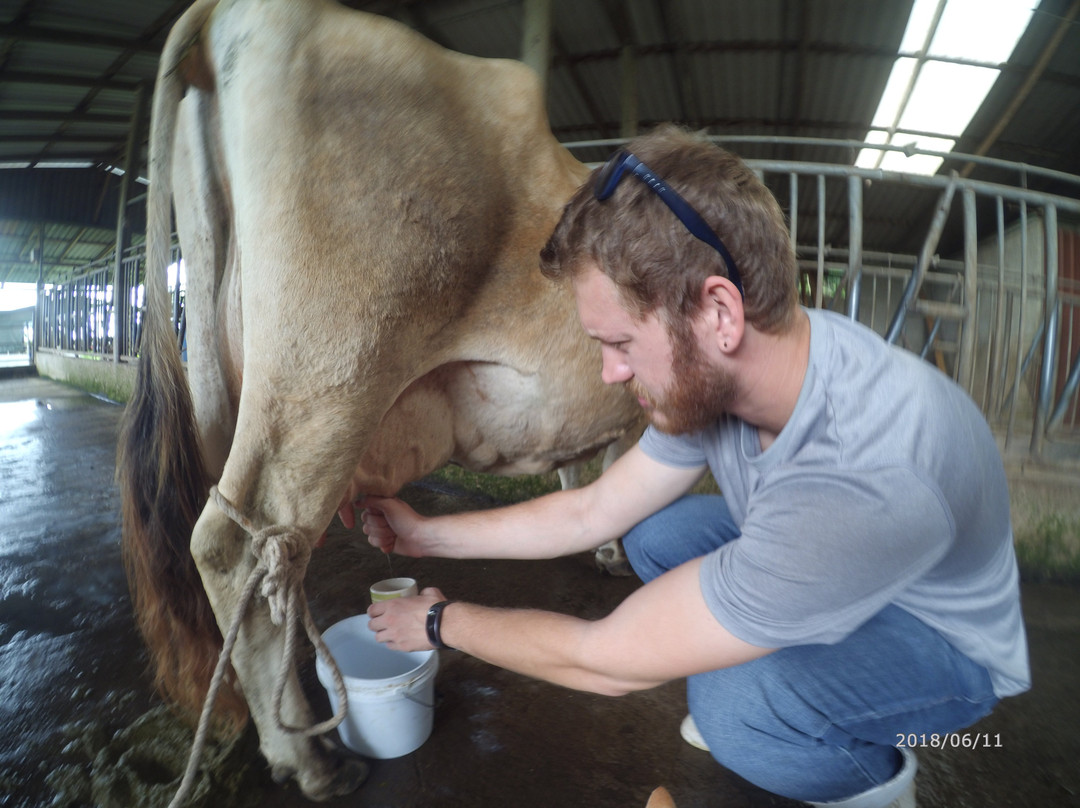 Santa Lucia旅游景点-Finca El Paraiso CR - Cheese Farm Tour