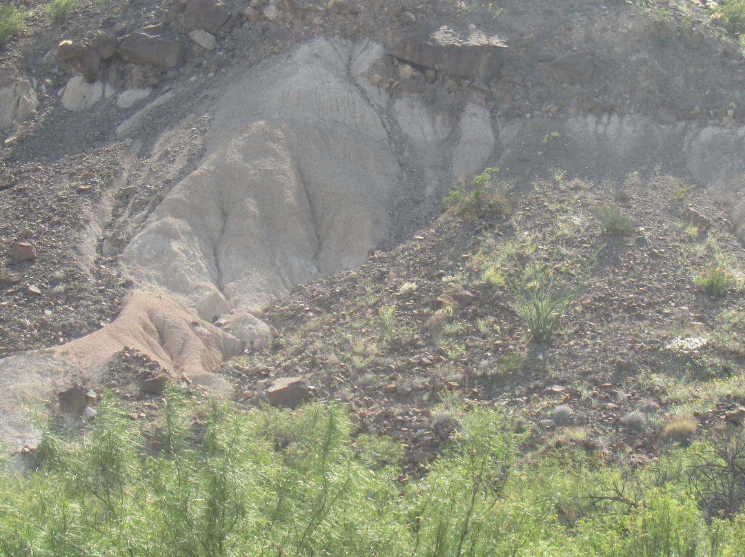 Far Flung Outdoor Center-Terlingua必去景点