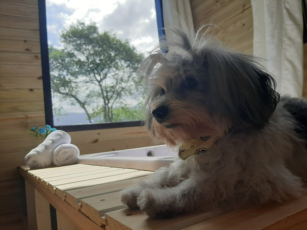 Morada Da Pedra主图