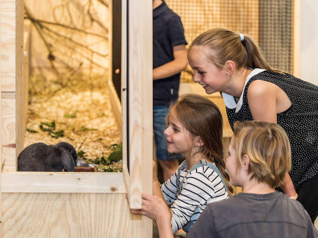 Naturmuseum St.Gallen-圣加仑必去景点