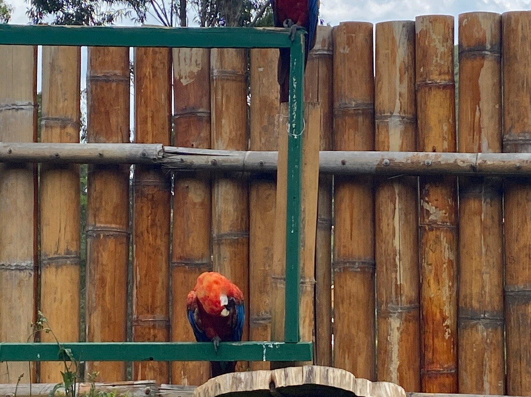 El Jardin Alado-Tumbaco必去景点