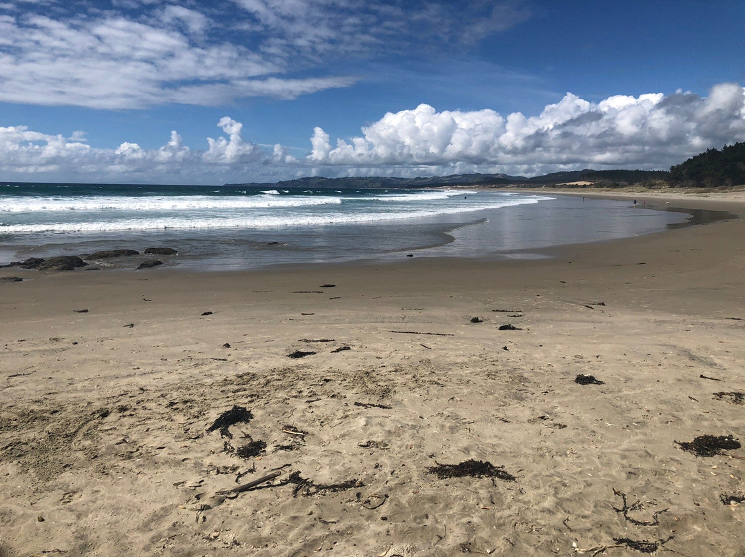 Te Arai Point-Te Arai必去景点