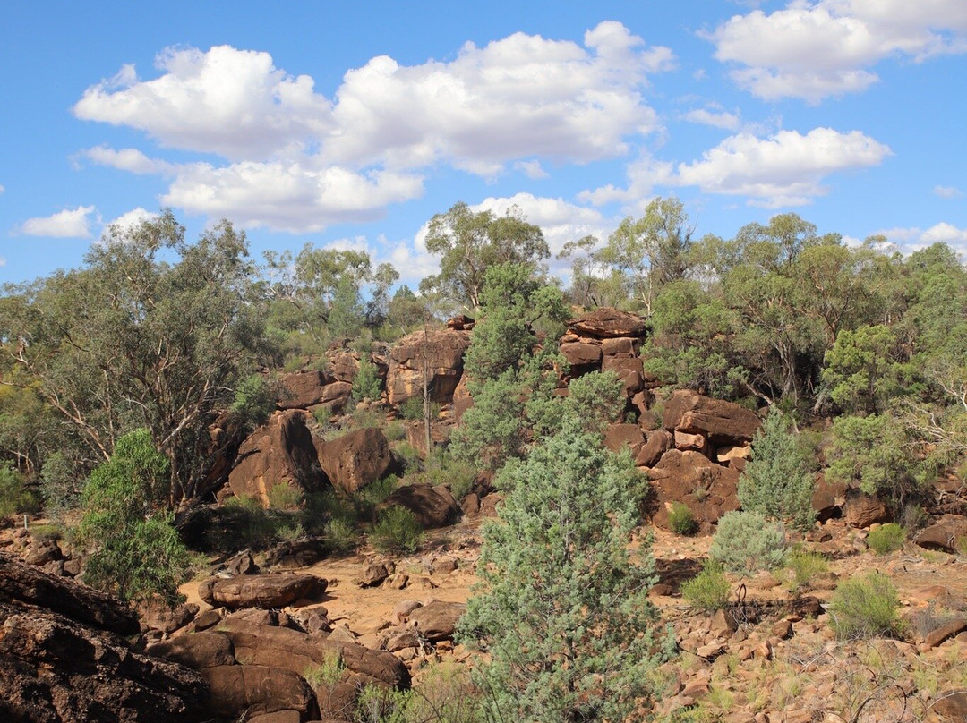 Gundabooka National Park景点图片