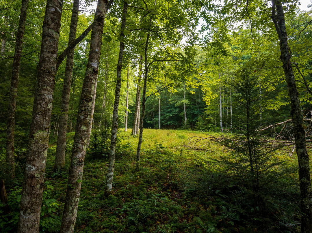 Twin Falls State Park-Mullens必去景点