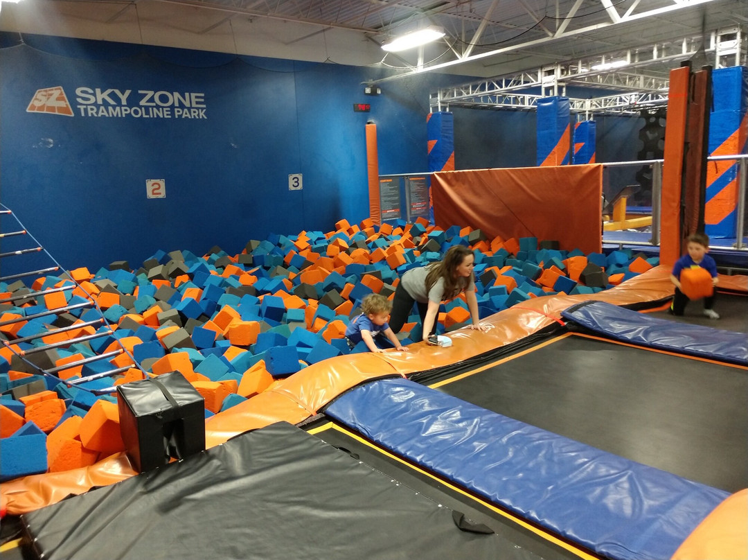 Sky Zone Trampoline Park景点图片