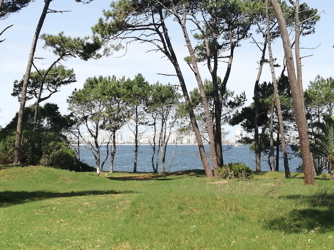 Isla Gorriti-Maldonado必去景点