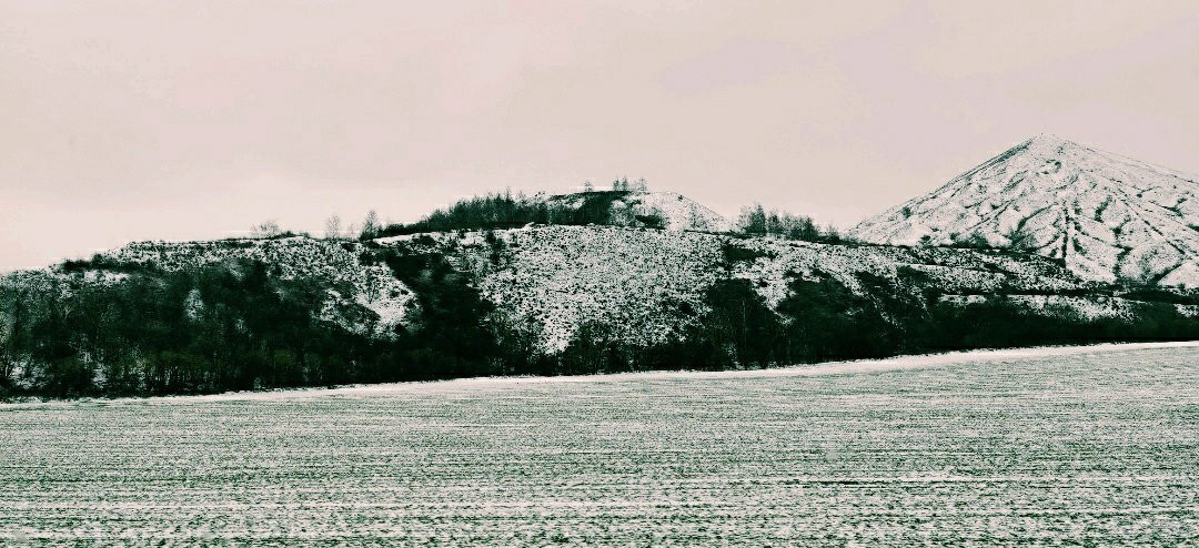 Terril De Loos En Gohelle-Loos en Gohelle必去景点