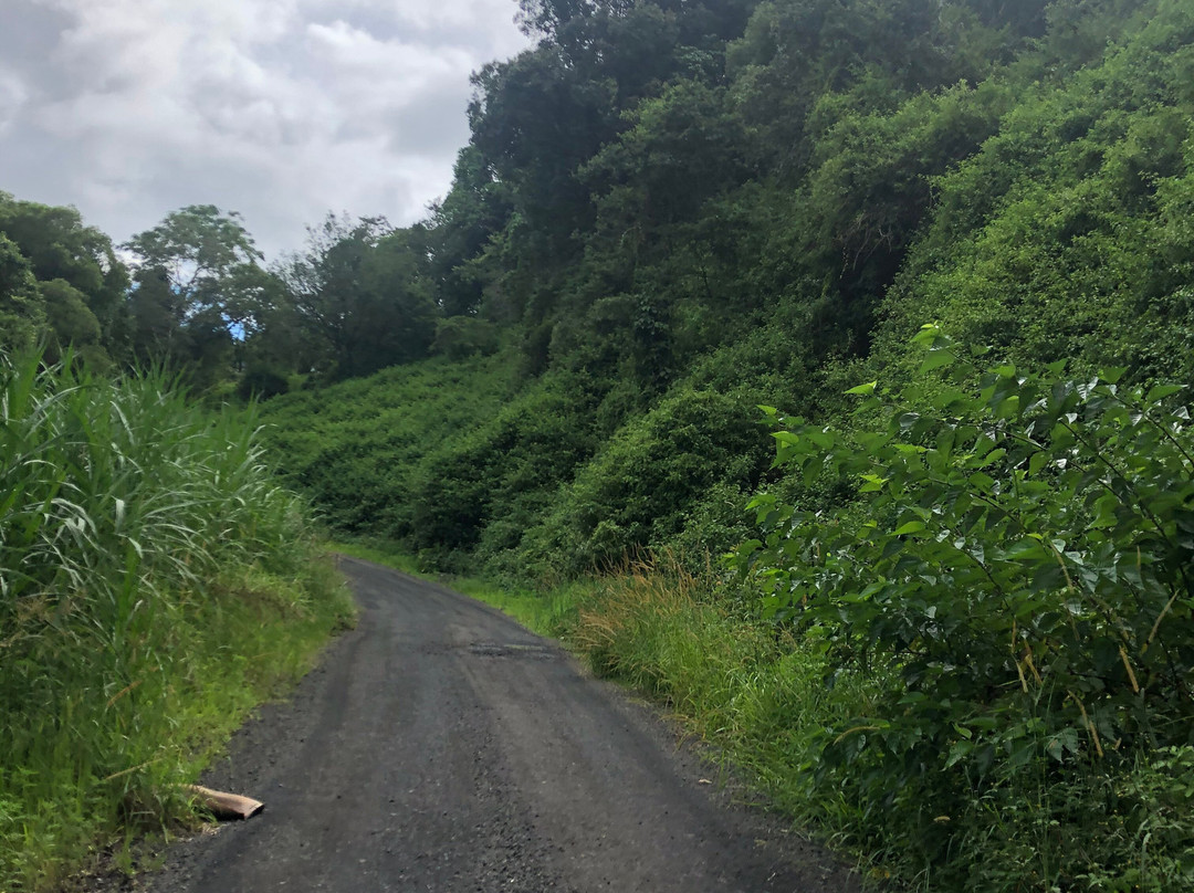 Black Sheep Farm主图