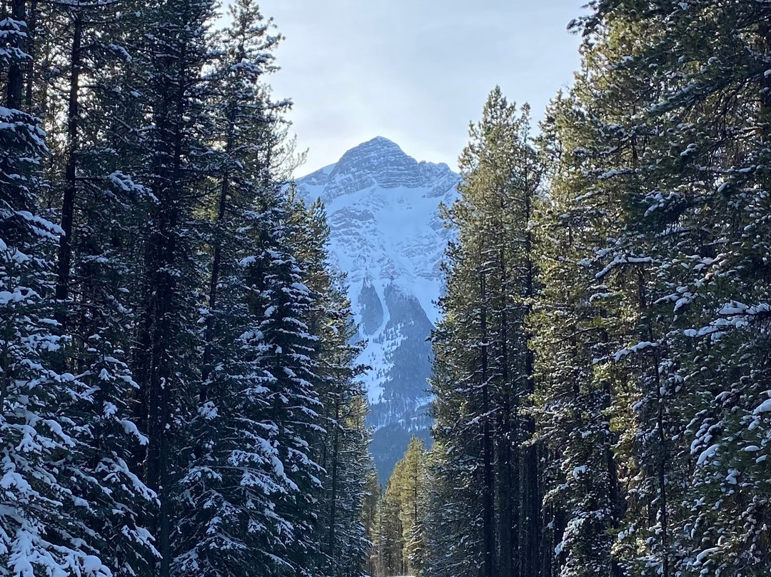Boundary Ranch-卡那那斯基斯必去景点