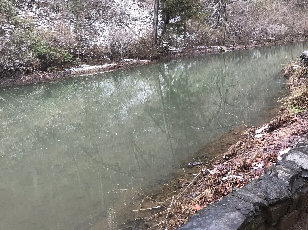 Natural Bridge Zoo-天然桥必去景点