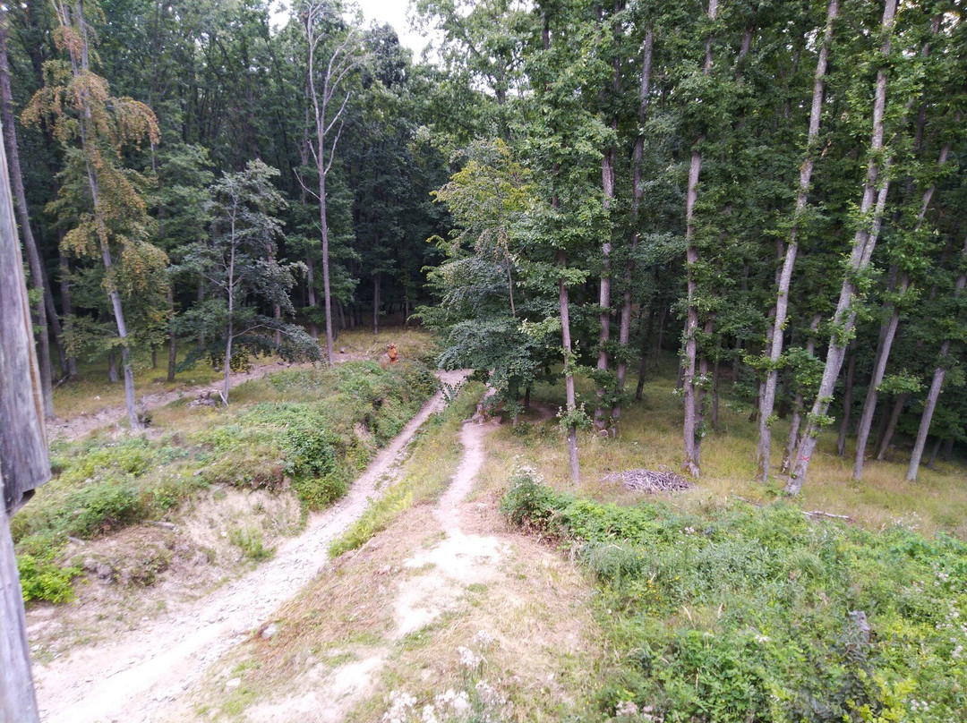Archaeological site Valy - Bojna景点图片