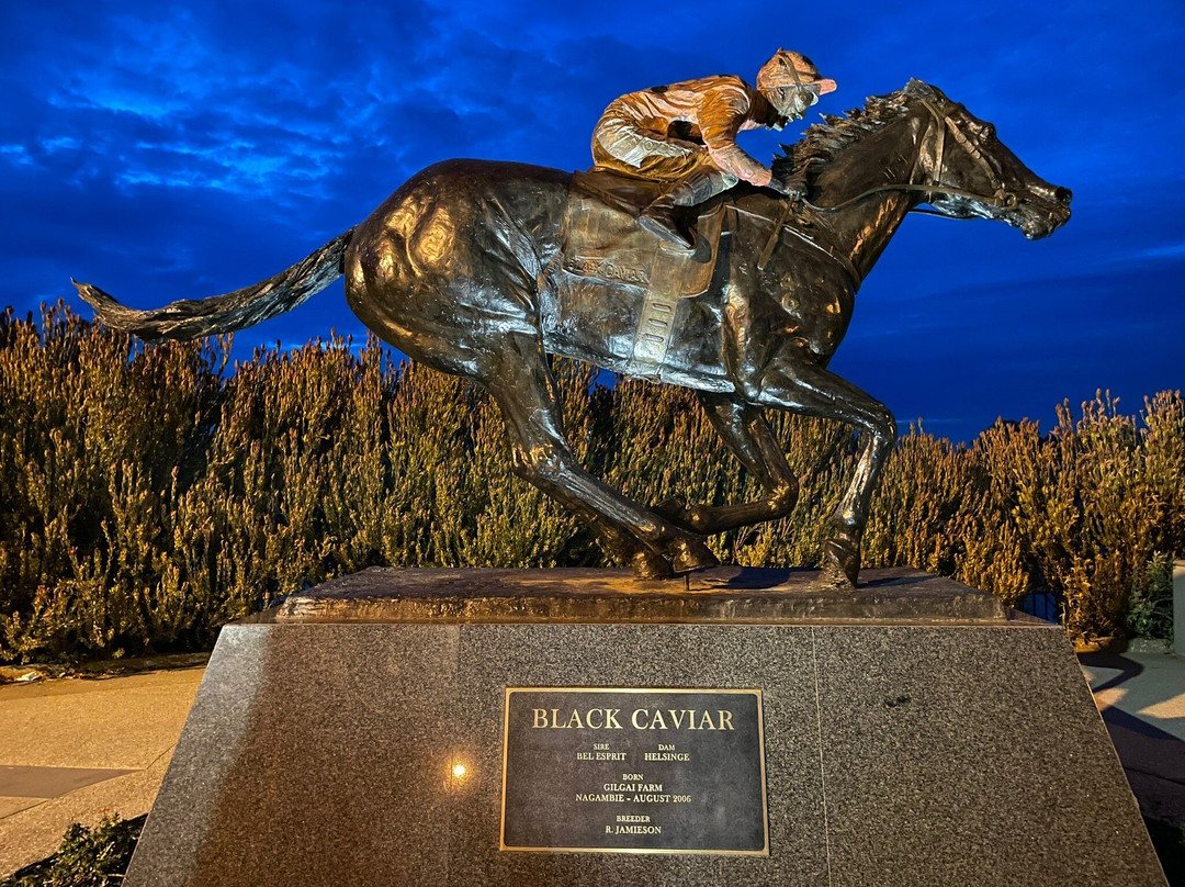 Black Caviar Statue-Nagambie必去景点