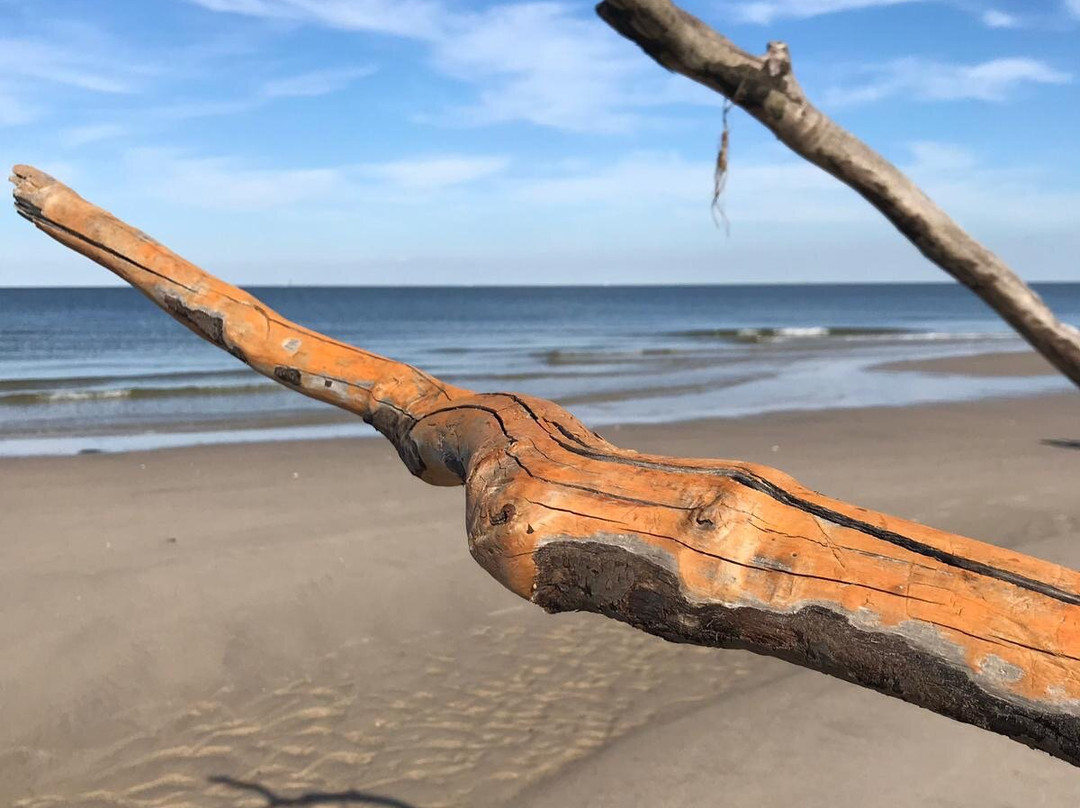 Grandview Nature Preserve-汉普顿必去景点