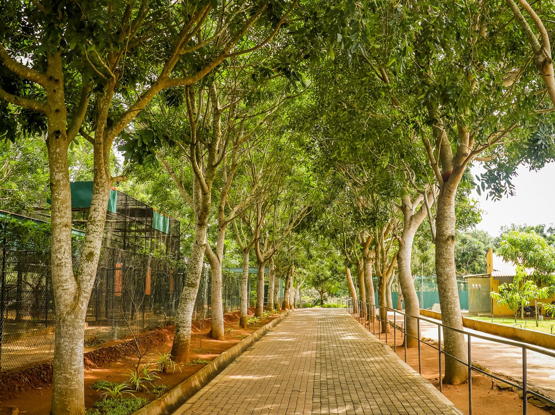 Birds Research Center & Resort景点图片