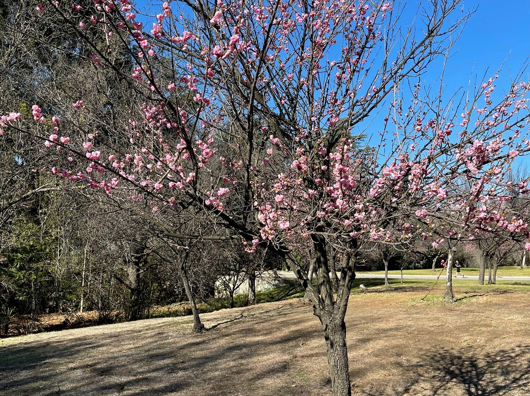 Schabarum Regional Park-罗兰岗必去景点