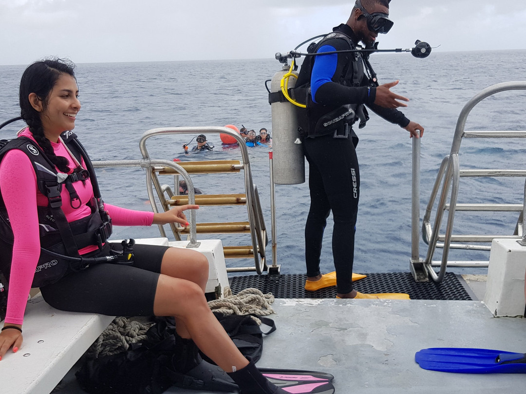 Aquarius Diving Club Medellín景点图片