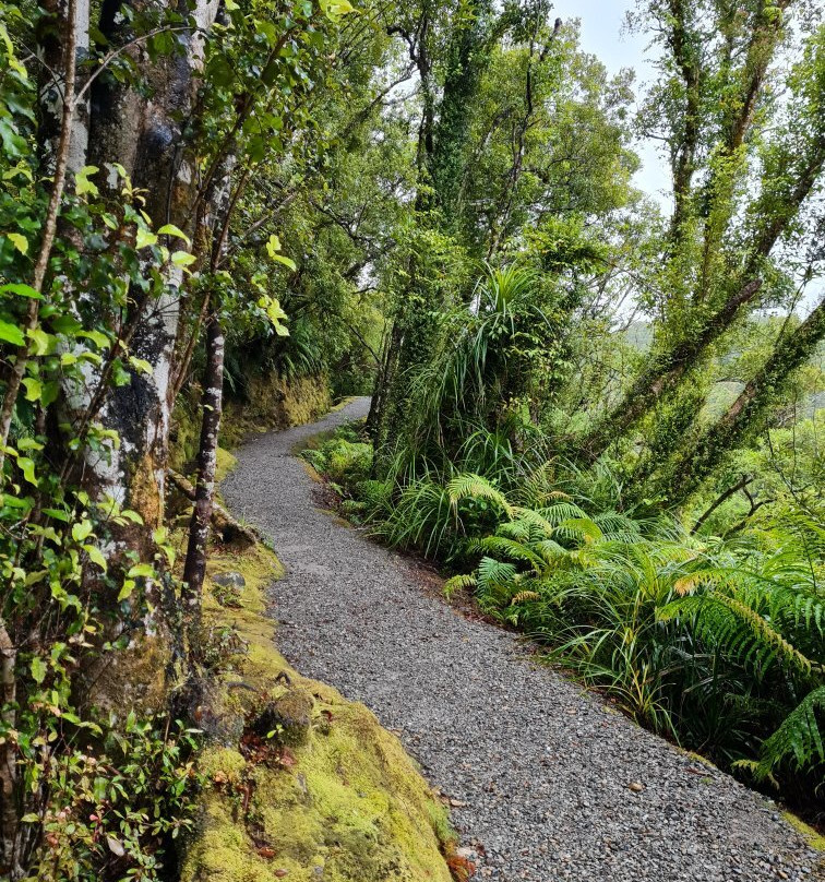 Ross Water Race Walkway景点图片