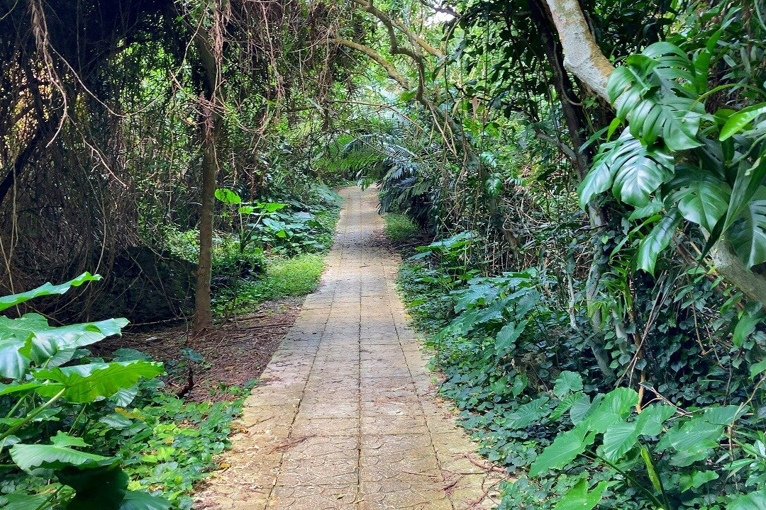 Tako Park-宫古岛市必去景点