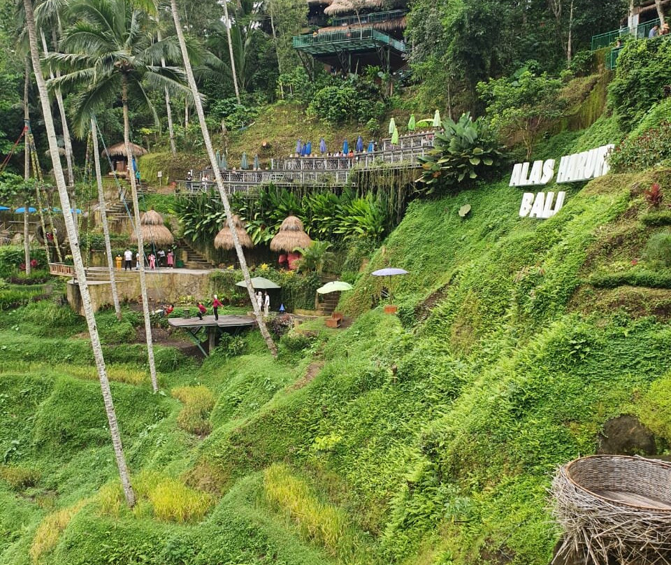 Alas Harum Bali景点图片