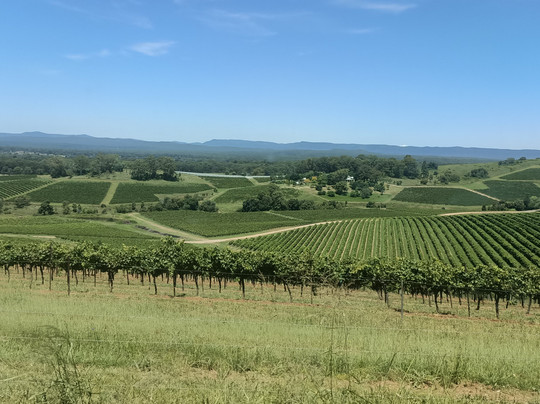 Grape to Glass Boutique Wine Tours-波高尔宾必去景点