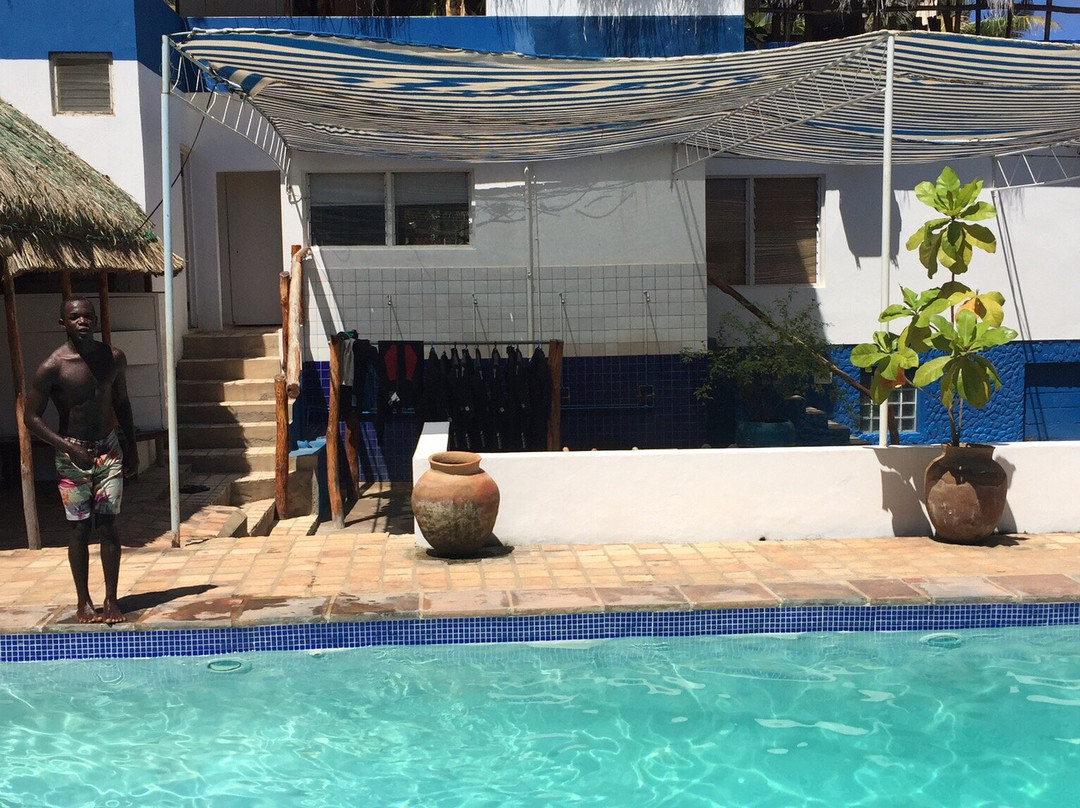 Diversity Scuba Tofo-托佛必去景点