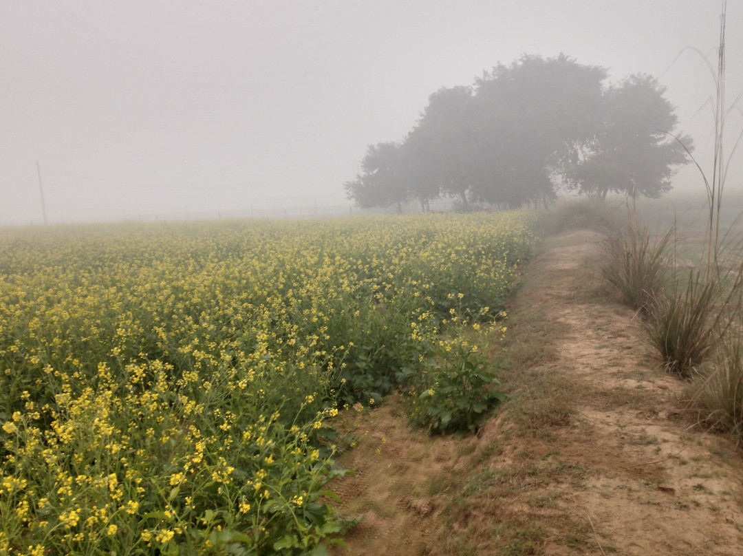 Gosakhi Ashhram-Dholpur必去景点