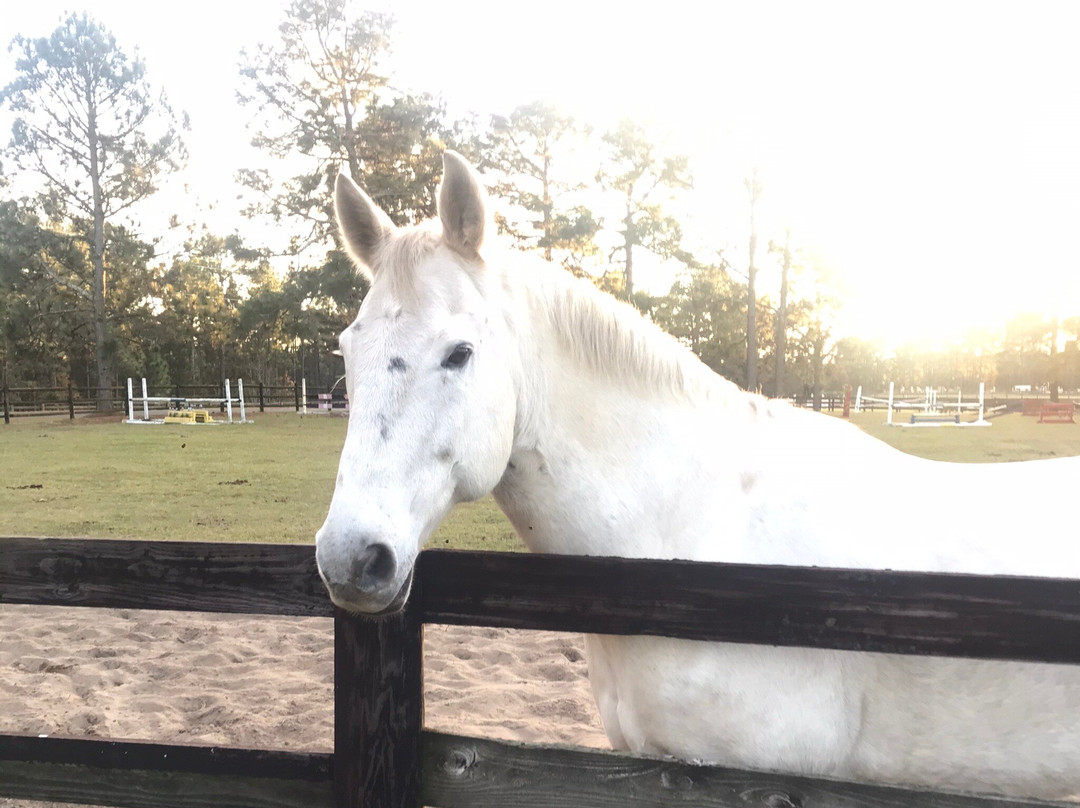 Tanglewood Farm Bed & Breakfast主图