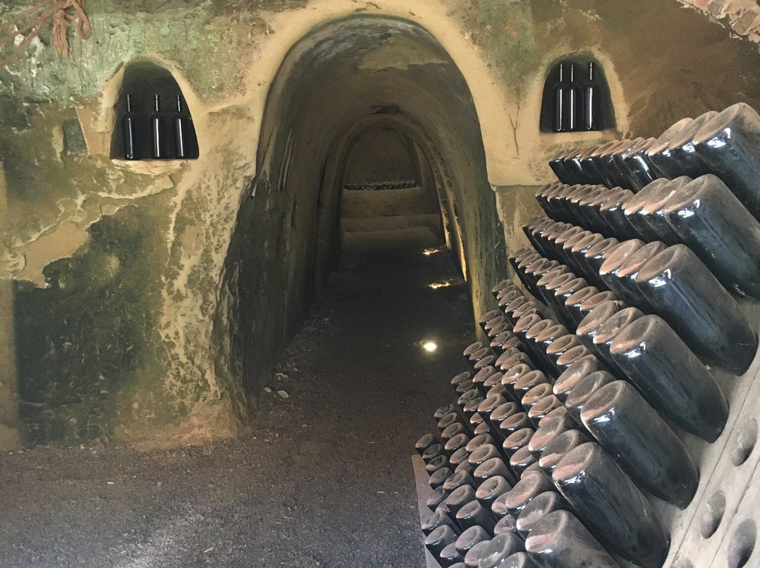 Azienda Agricola Rabino Luigi Giuseppe景点图片