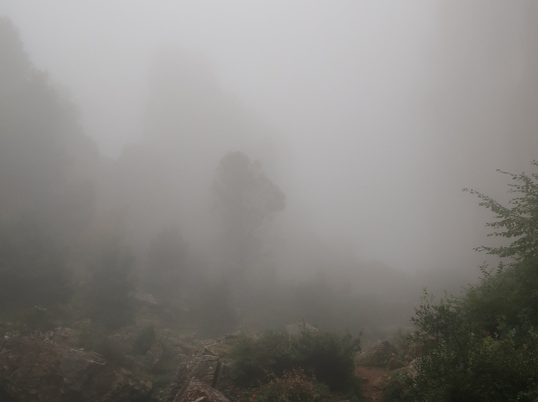 B&B Taccu Maccu主图